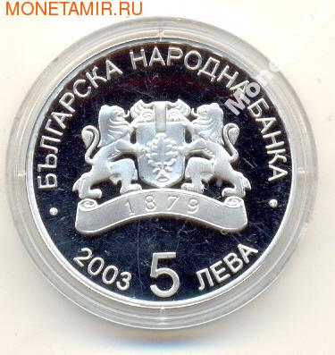 2006 FIFA World cup Germany (,  1)