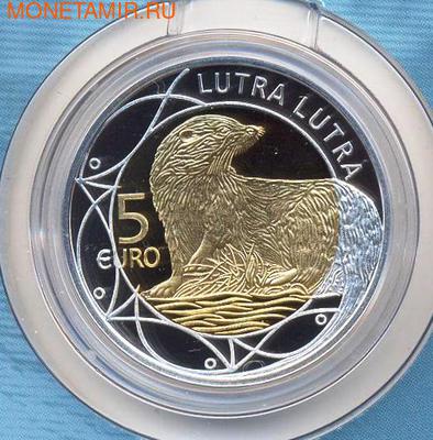  5  2011      (Luxemburg 5 Euro 2011 Otter)..000377737541/60 (,  1)