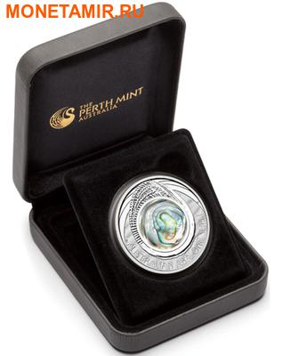  1  2014.   (Abalone)..000488349265 (,  2)