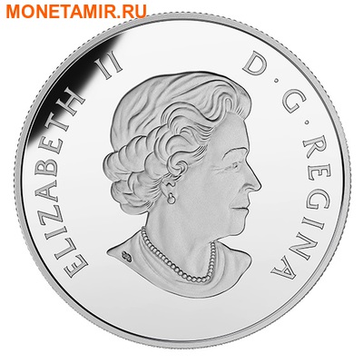  10  2015.-   -    . (,  1)