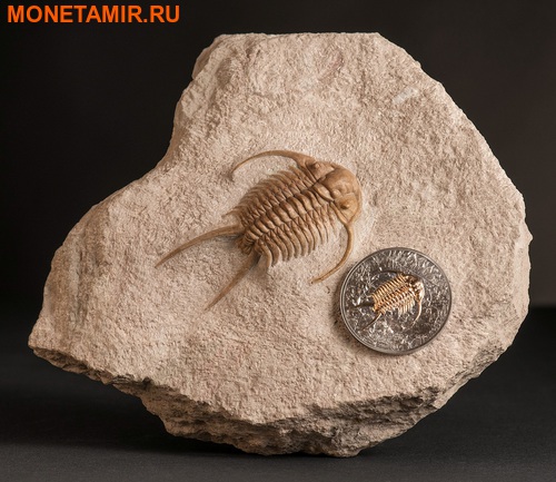  500  2016   (Mongolia 500T 2016 Trilobita Evolution 1oz Silver)..60 (,  4)