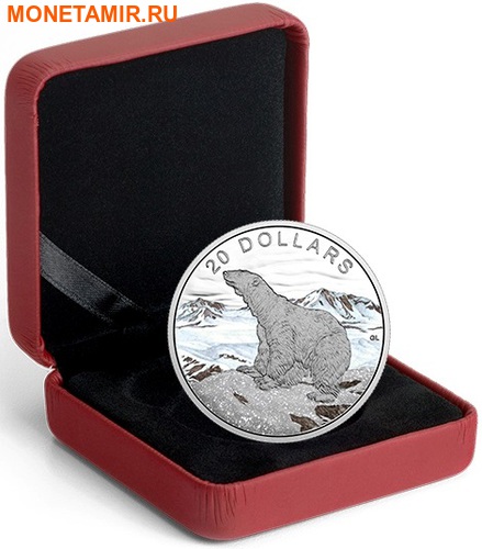  20  2017      (Canada 20$ 2017 Glistening North The Polar Bear)..000529352988/60 (,  3)