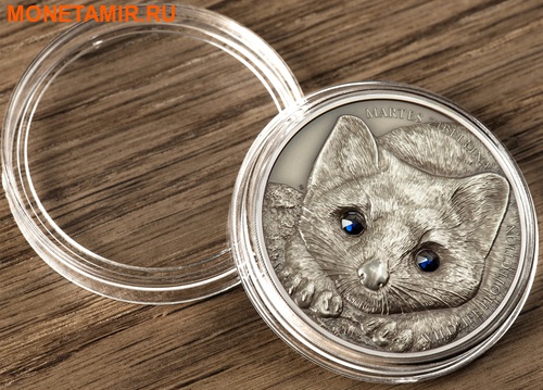  500  2017      (Mongolia 500T 2017 Sable Martes Zibellina Wildlife Protection 1oz Silver Coin)..000495454012/60 (,  1)