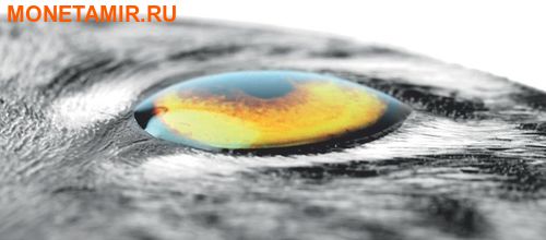  ( ) 2000  2017      (Ursus arctos middendorffi Natures Eyes)..000819153949/60 (,  1)