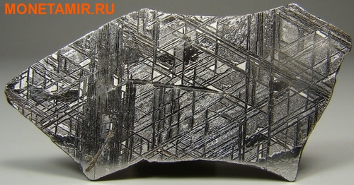  1  2016   (Niue 1$ 2016 Meteorite Muonionalusta)..002513653573/65 (,  3)