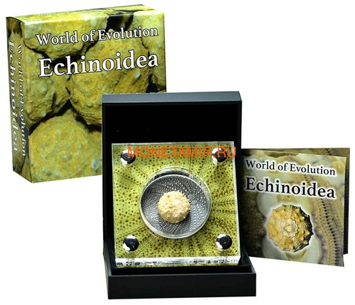   1000  2017      (Burkina Faso 1000FCFA 2017 Echinoidea Fossil Sea Urchin World of Evolution)..60 (,  3)