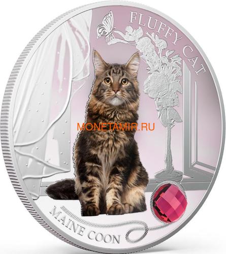  2  2013 - -       (Fiji 2$ 2013 Fluffy Cat Maine Coon Dogs and Cats)..000405649000/60 (,  1)