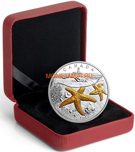  20  207     (Canada 20C$ 2017 From Sea To Sea Atlantic Starfish)..60 (,  2)