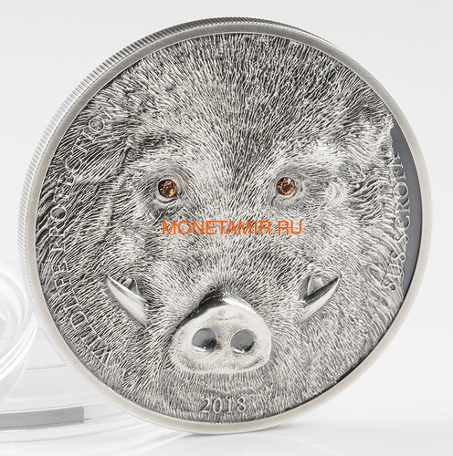  500  2018     (Mongolia 500T 2018 Wild Boar Sus scrofa Wildlife Protection)..60 (,  1)