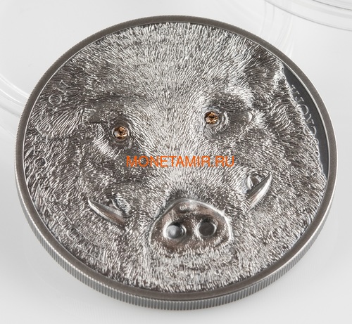  500  2018     (Mongolia 500T 2018 Wild Boar Sus scrofa Wildlife Protection)..60 (,  2)