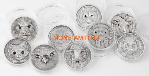  500  2018     (Mongolia 500T 2018 Wild Boar Sus scrofa Wildlife Protection)..60 (,  6)