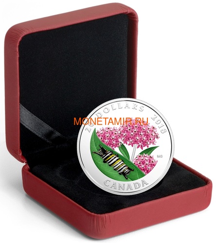  20  2018    (Canada 20C$ 2018 Murano Glass Caterpillar)..60 (,  3)