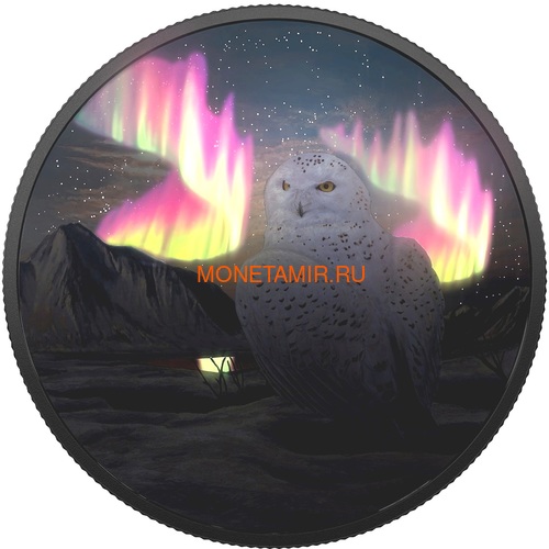  30  2018         (Canada 30$ 2018 Glow-In-The-Dark Coin Arctic Animals and Northern Lights Snowy Owl)..60 (,  1)
