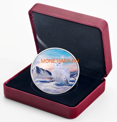  30  2018         (Canada 30$ 2018 Glow-In-The-Dark Coin Arctic Animals and Northern Lights Snowy Owl)..60 (,  3)