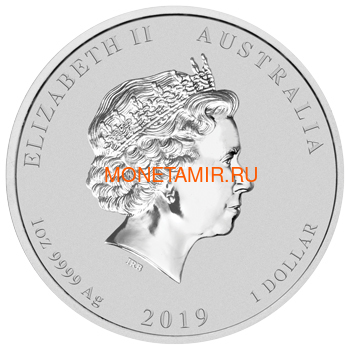  1  2019     (Australia 1$ 2019 Year of the Pig Lunar)..69 (,  1)