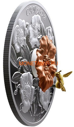  50  2019    (Canada 50$ 2019 Bumble Bee and the Bloom Silver Coin 5oz)..69 (,  1)