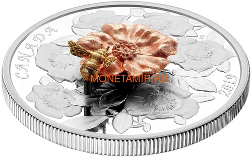  50  2019    (Canada 50$ 2019 Bumble Bee and the Bloom Silver Coin 5oz)..69 (,  3)