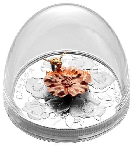  50  2019    (Canada 50$ 2019 Bumble Bee and the Bloom Silver Coin 5oz)..69 (,  6)