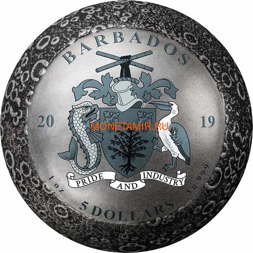  5  2019    50    (Barbados 5$ 2019 Moon Landing 50th Anniversary 1 Oz Silver Coin Spherical)..E92 (,  4)