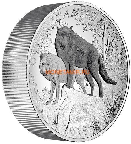  100  2019       (Canada 100$ 2019 Wolves Nature's Grandeur Series Piedfort Concave 10 oz Silver Coin)..67 (,  1)