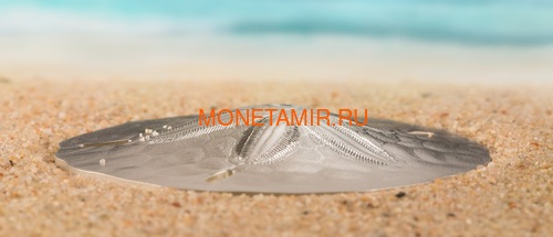  1  2019   II (Palau 1$ 2019 Sand Dollar II)..67 (,  2)