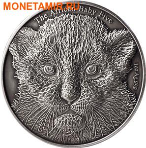  5000  2014.      ..000300047374 ()
