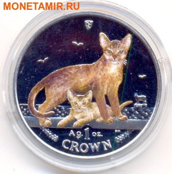   1  2010.    ()  ..000172639005 ()
