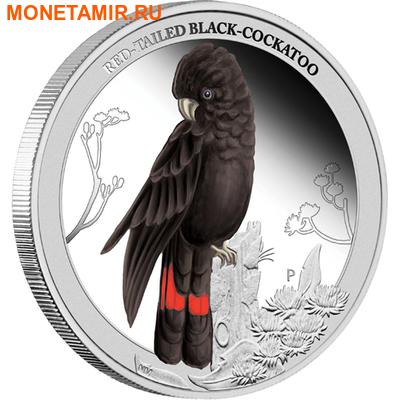  50  2013.       ..000176842018 ()