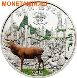   2  2014.     .. 000105647707 ()