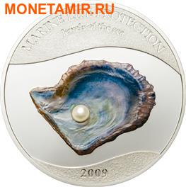  5  2009.  -      . ()