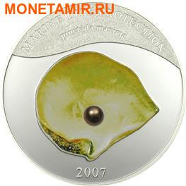  5  2007.  -  (Pinctada maxima)    . ()