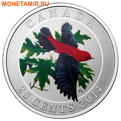  25  2014.- ..000172649444 ()