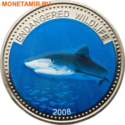  1  2008.  (Tiger Shark)    ..60 ()
