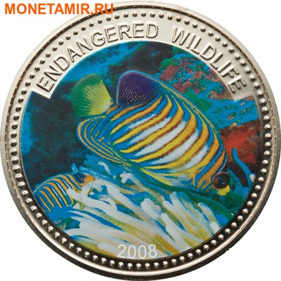  1  2008.    (Regal Angelfish)    ..60 ()