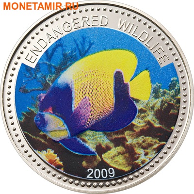  1  2009.   (Blue-girdled Angelfish)    ..60 ()