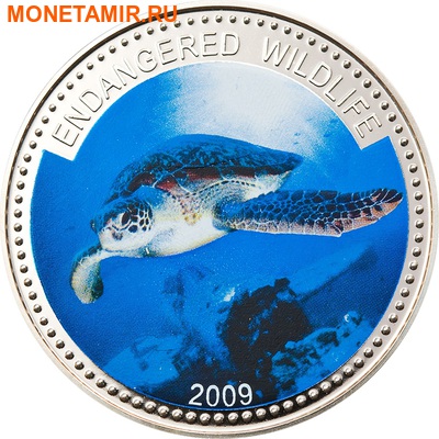  1  2009.  (Green Turtle)    ..60 ()