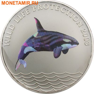  5  2003. ()..60 ()