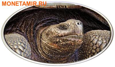  2  2015    (Niue 2$ 2015 Turtle Lonesome George)..000764151960/60 ()