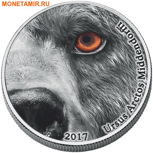  ( ) 2000  2017      (Ursus arctos middendorffi Natures Eyes)..000819153949/60 ()