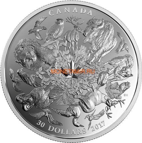  30  2017       (         ..) Canada 2017 Flora and Fauna of Canada in 360 Degrees Bison Caribou Snowy Owl Deer Bear..60 ()