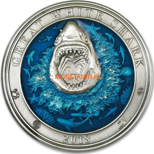  5  2018      (Barbados 5$ 2018 Great White Shark Underwater World)..60 ()
