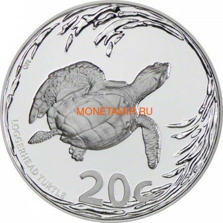   20  2013      (South Africa 20c 2013 Marine Protected Areas Turtle)..000597344215/60 ()