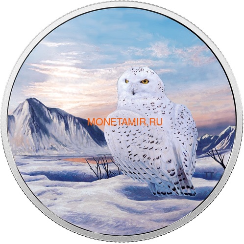  30  2018         (Canada 30$ 2018 Glow-In-The-Dark Coin Arctic Animals and Northern Lights Snowy Owl)..60 ()