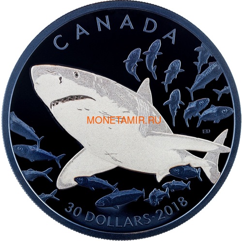  30  2018     (Canada 30$ 2018 Great White Shark Blue Rhodium Plating 2oz Silver Coin)..69 ()