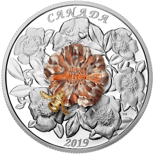  50  2019    (Canada 50$ 2019 Bumble Bee and the Bloom Silver Coin 5oz)..69 ()