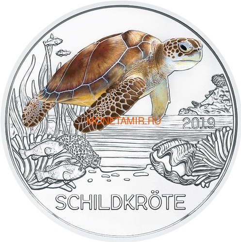  3  2019  (Colourful Creatures The Turtle Austria 3 euro 2019)..67 ()