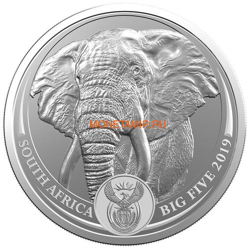   5  2019     (South Africa 5R 2019 Elephant Big Five 1oz Silver Coin) ..67 ()