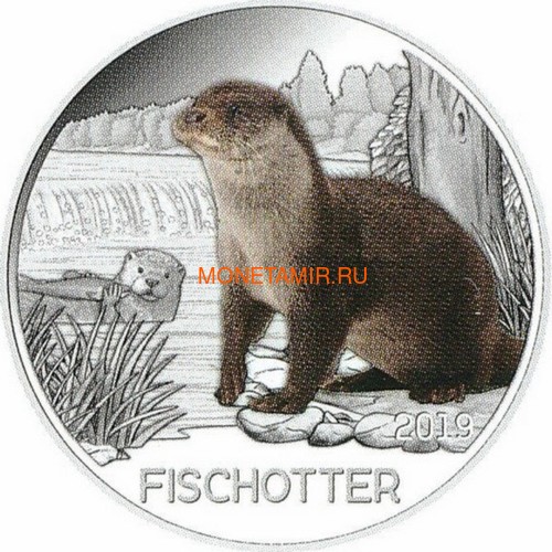  3  2019  (Colourful Creatures The Otter Austria 3 euro 2019)..67 ()