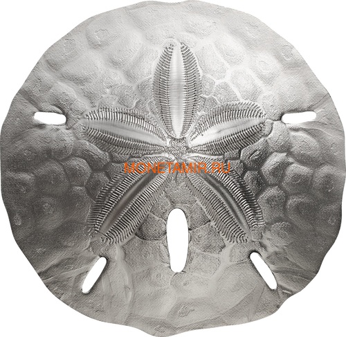 1  2019   II (Palau 1$ 2019 Sand Dollar II)..67 ()