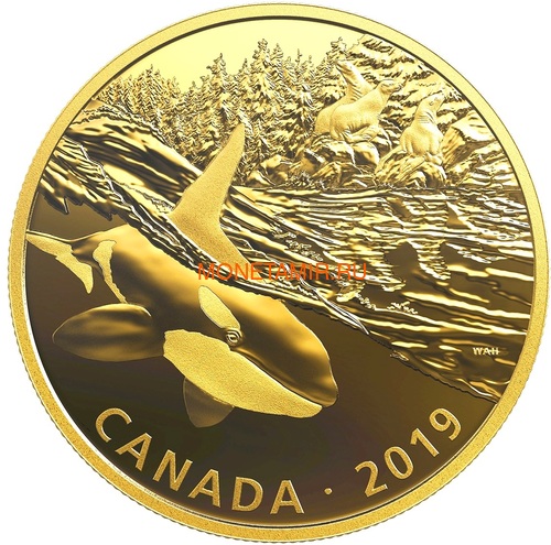  30  2019        (Canada 30$ 2019 Predator and Prey Orca and Sea Lions 2 oz Gold Plated Silver Coin)..65 ()